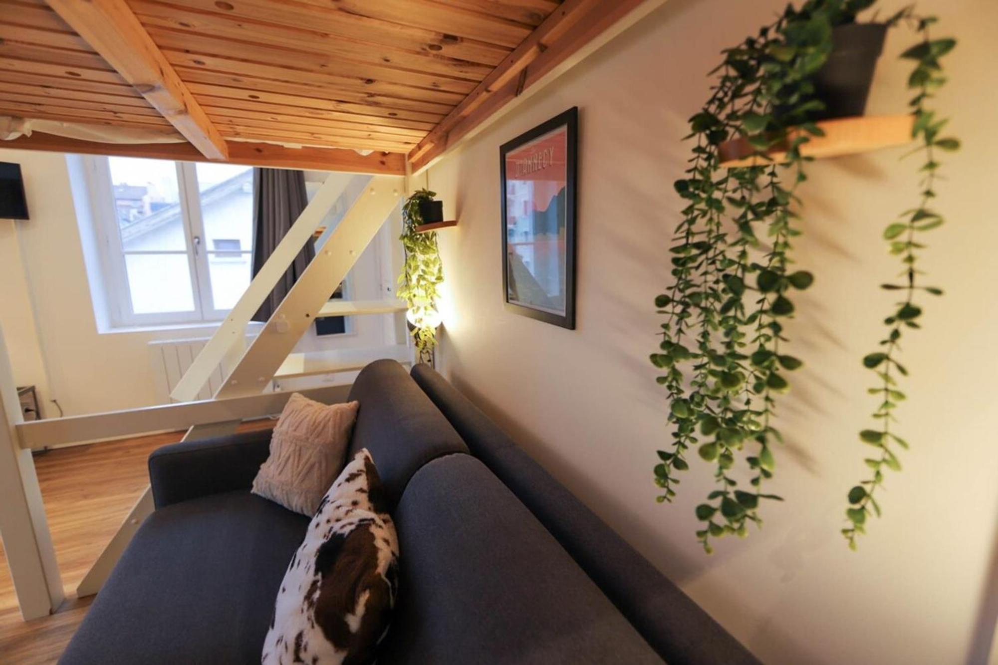 Апартаменти Le Petit Plus - Studio Confortable Avec Parking Аннесі Екстер'єр фото